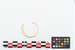 Foto von Golddrahtring (NHMW-PRAE-025483)